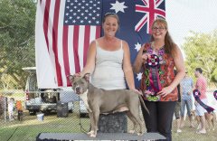 Amstaff OpenShow_15.jpg